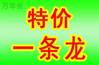 南安福建省南安市墓地价格是多少？